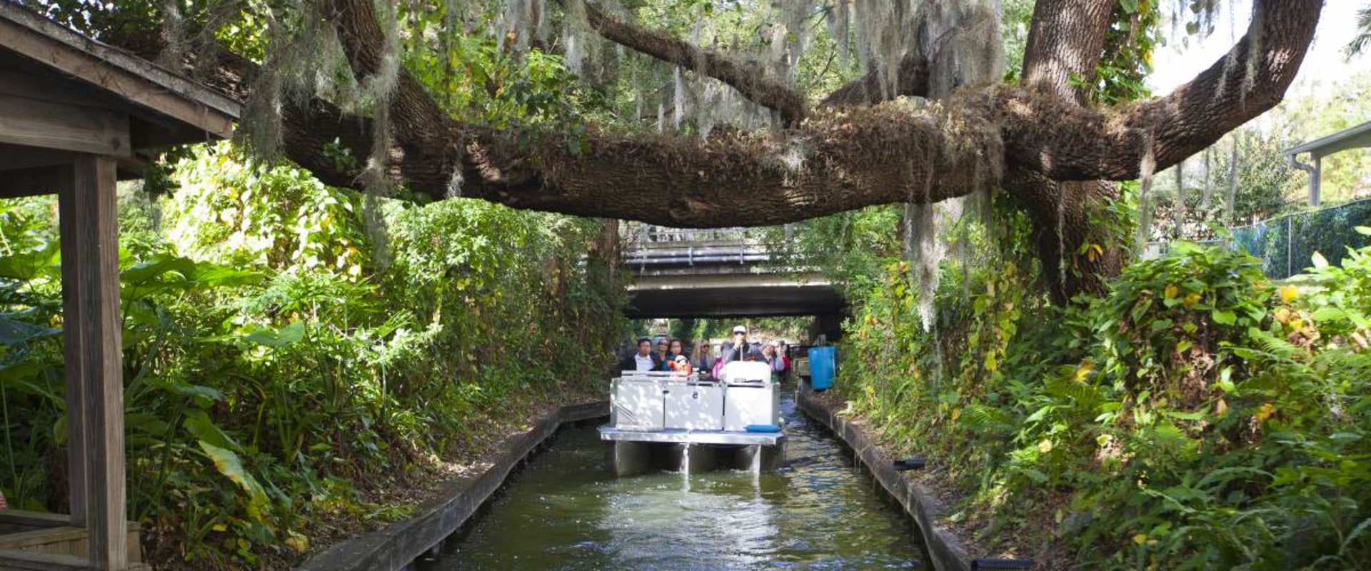 Navigating Family Outdoor Activities in Central Florida: Weather Considerations for Parents