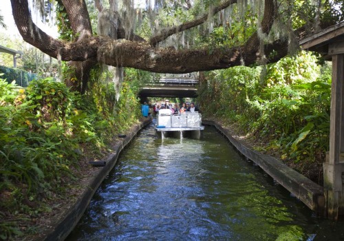 Navigating Family Outdoor Activities in Central Florida: Weather Considerations for Parents